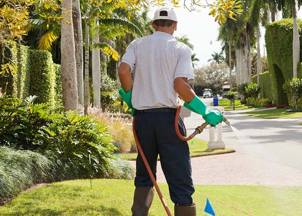 About New Liberty IA Pest Control